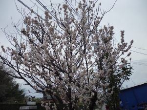 P1020777